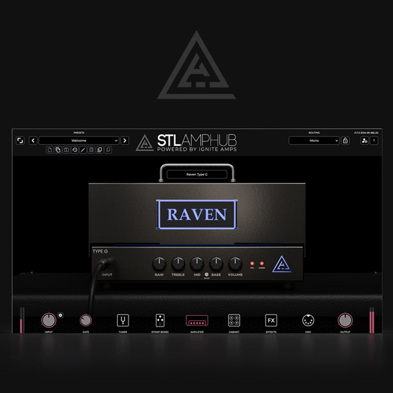 AmpHub - Raven Type G Model