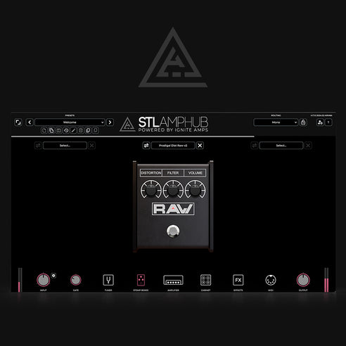 AmpHub - Prodigal Dist Raw v2 Model